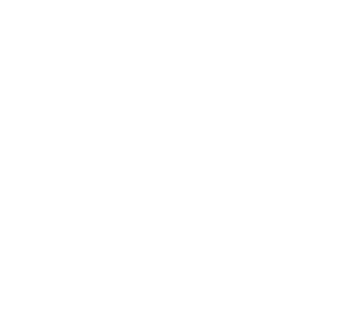Nika Beauty Logo